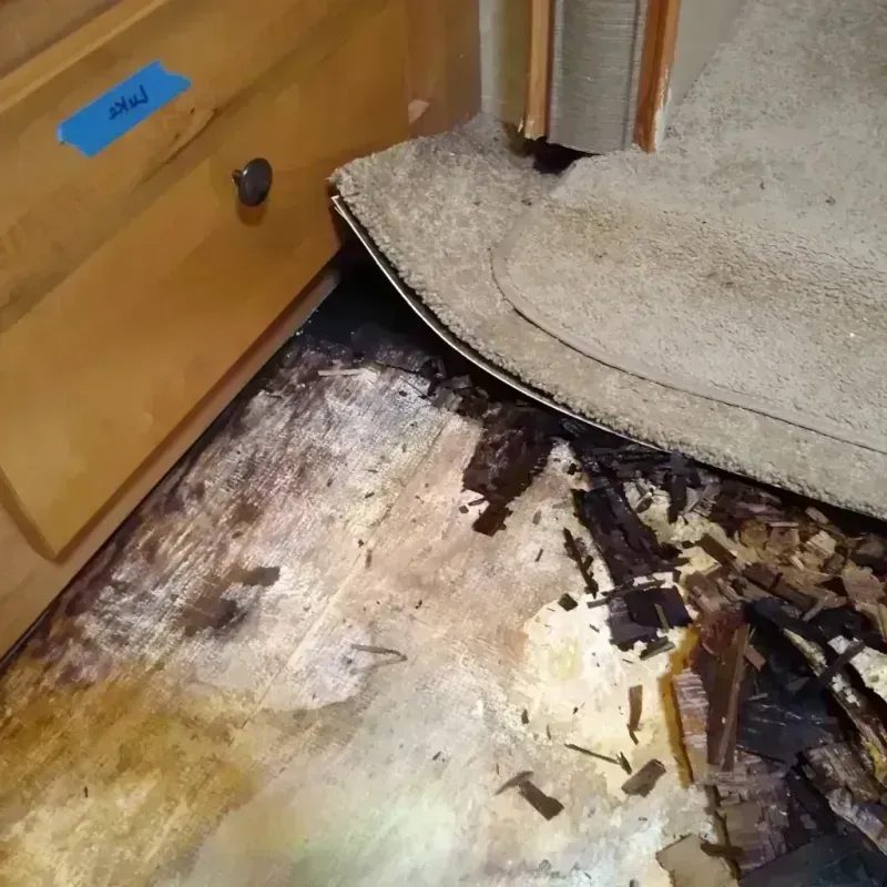 Wood Floor Water Damage in Gaylord, MI